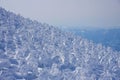 Snow Monsters of Mt.Zao in Yamagata, Japan Royalty Free Stock Photo